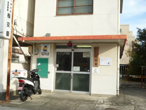 警察署・交番　桜交番（警察署・交番）まで167m