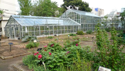 その他　星薬科大学薬用植物園（その他）まで348m