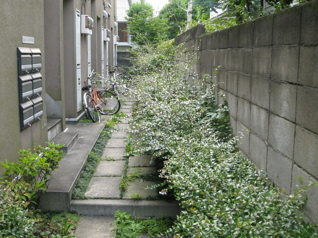 エントランス　エントランス