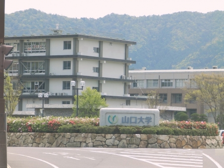 大学・短大　山口大学（大学・短大）まで2543m