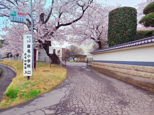 小学校　島名小学校（小学校）まで1500m