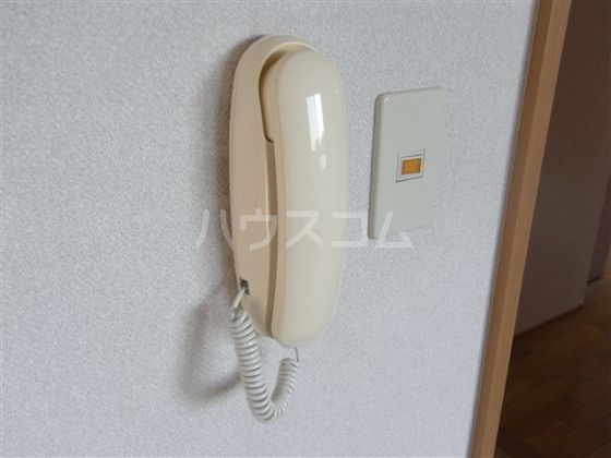 エバーグリーンのその他写真