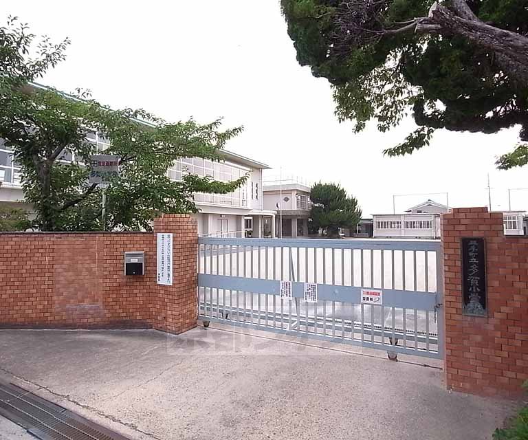 小学校　多賀小学校（小学校）まで481m