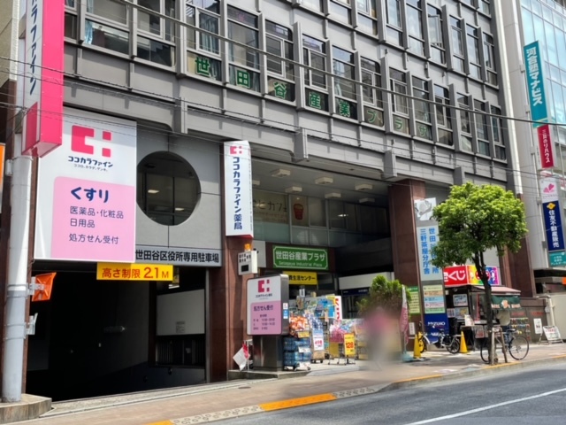 ドラックストア　ココカラファイン茶沢通り店（ドラッグストア）まで250m