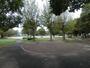 公園　公園（公園）まで1454m