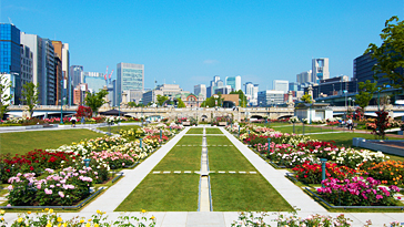 公園　中之島公園（公園）まで458m