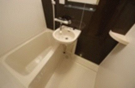 THEパームス新小岩の風呂写真