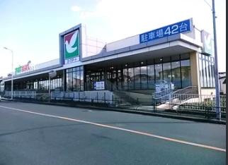 スーパー　ヨークマート青戸店（スーパー）まで424m