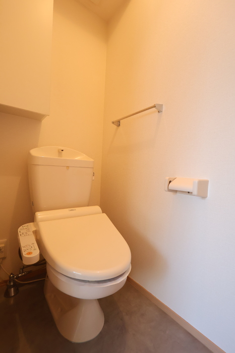 ＪＲ山陽本線 高島駅 徒歩15分 2階建 築16年のトイレ写真