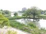 公園　野間大池公園（公園）まで1180m
