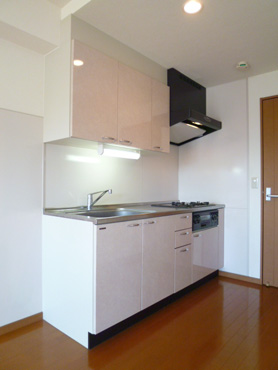 キッチン　3口ガスシステムキッチン