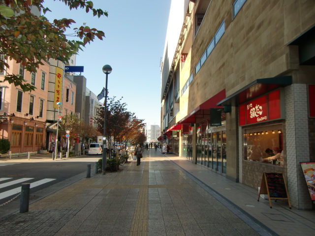 スーパー　京王ストア高幡店（スーパー）まで542m