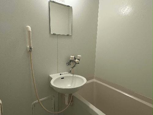 バス・シャワールーム　※同タイプ部屋の写真となります