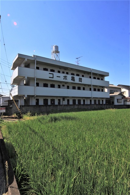 【松山市小栗のマンションの建物外観】