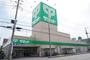 スーパー　サミットストア 川口青木店（スーパー）まで253m