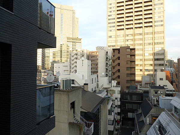 【港区赤坂のマンションの眺望】