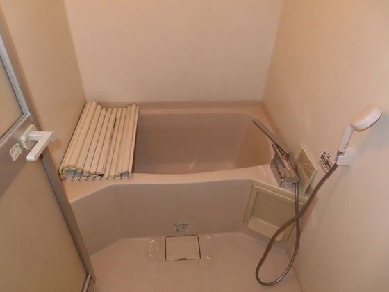 バス・シャワールーム　※別部屋の写真です