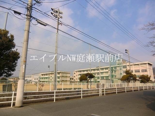 小学校　岡山市立大野小学校（小学校）まで384m