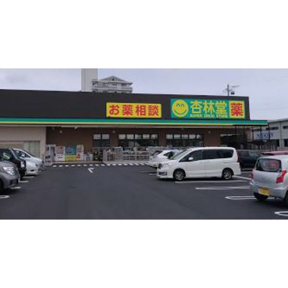 ドラックストア　杏林堂スーパードラッグストア有玉（ドラッグストア）まで737m