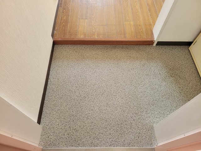 メゾン市川壱番館の玄関写真