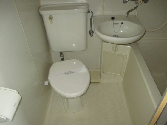 トイレ　※他号室の写真です