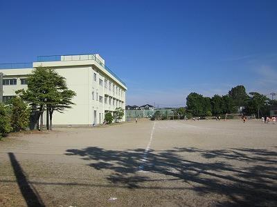 小学校　新潟市立坂井輪小学校（小学校）まで1603m