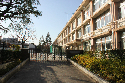 小学校　練馬区立豊玉小学校（小学校）まで237m