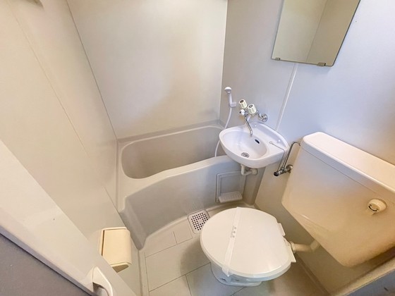 トイレ　※別号室の写真です