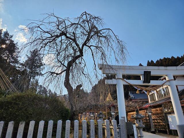その他　金蛇水神社（その他）まで1300m