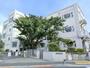 小学校　江戸川区立本一色小学校（小学校）まで494m