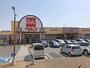 スーパー　ベルク 足立新田店（スーパー）まで488m