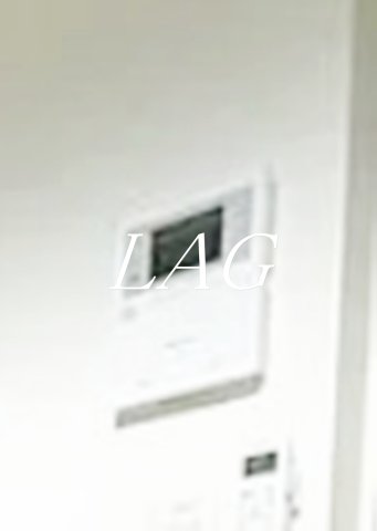 セキュリティ　モニター付きインターホンです。