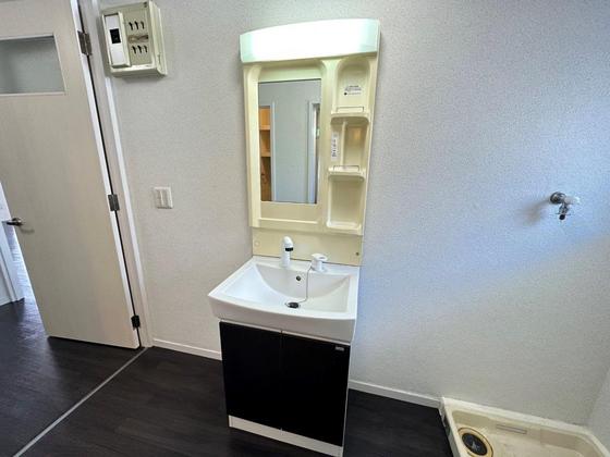 洗面設備　※別部屋の写真です