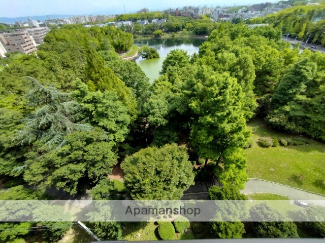 公園　桃山公園（公園）まで1225m