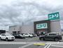 ホームセンター　ニトリ長浜店（ホームセンター）まで346m