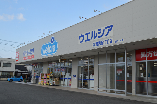 ドラックストア　ウエルシア新潟関新1丁目店（ドラッグストア）まで481m