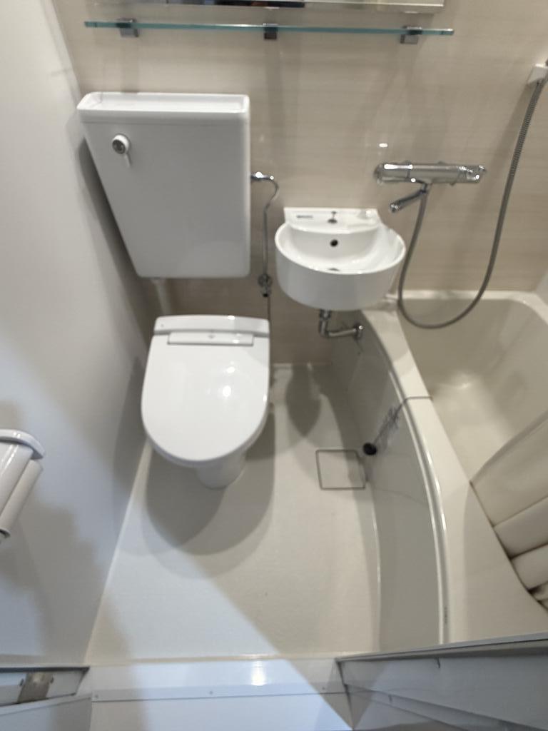ダイアステーションプラザ五橋のトイレ写真