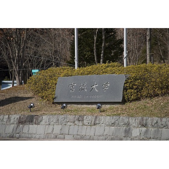 大学・短大　宮城県立宮城大学（大学・短大）まで3849m