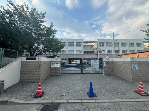 小学校　尼崎市立難波小学校（小学校）まで682m