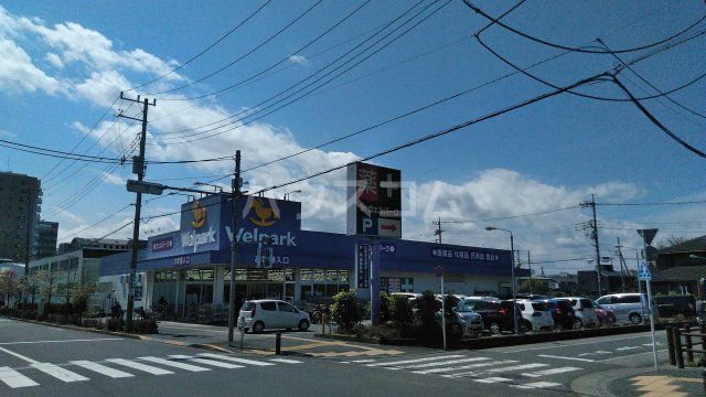 ドラックストア　ウェルパーク日野栄町店（ドラッグストア）まで336m