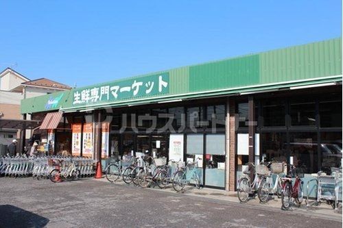 スーパー　フーズマーケットセレクション西原店（スーパー）まで540m
