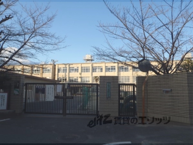 小学校　納所小学校（小学校）まで300m