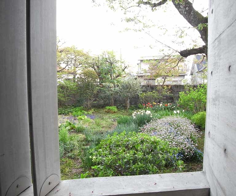 眺望　植物園のようなお庭が見えます