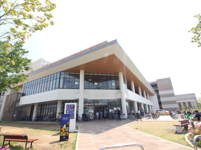 スーパー　アピタテラス横浜綱島店（スーパー）まで913m