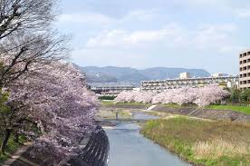 公園　芥川桜堤公園（公園）まで690m