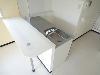 キッチン　同物件別号室のものです。