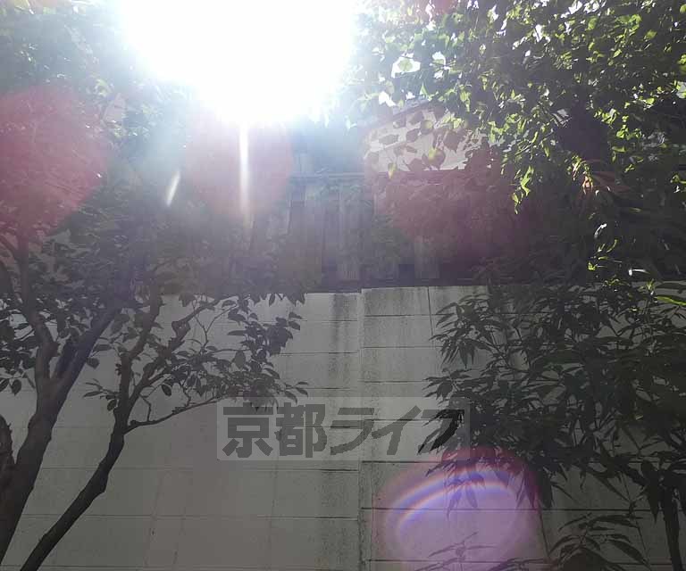 眺望　１０８号室からの眺望です