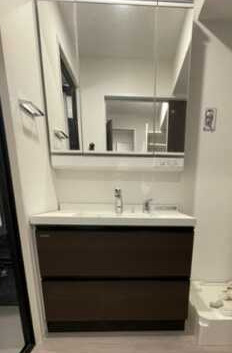 洗面設備　別タイプ部屋　参考写真です