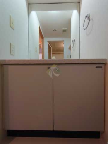 洗面設備　サントコア神楽坂