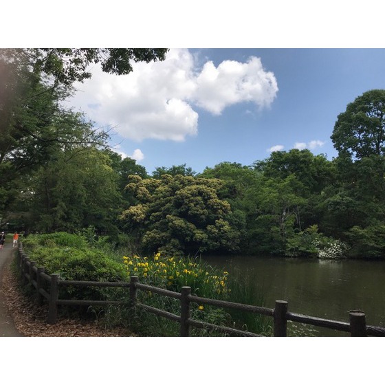 公園　和田堀公園（公園）まで300m